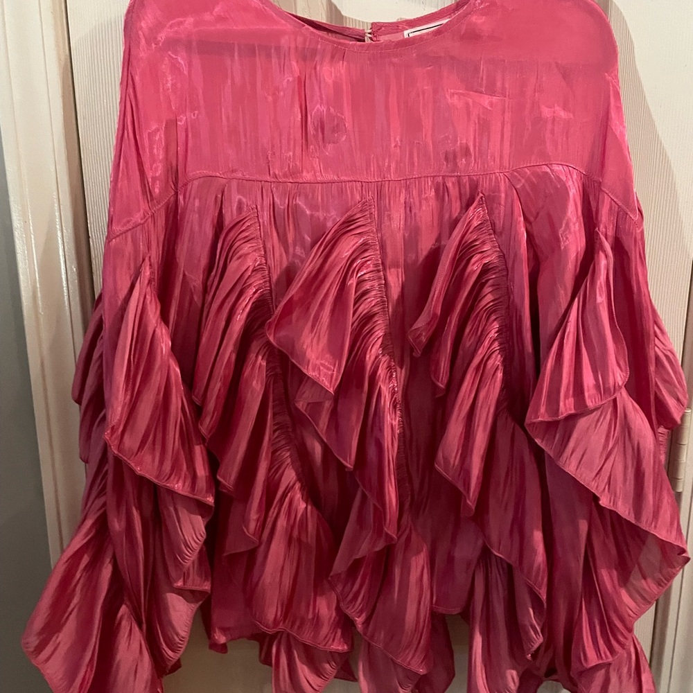 Ruffled Pink Long Sleeve Blouse Never Worn